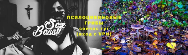 бошки Балахна