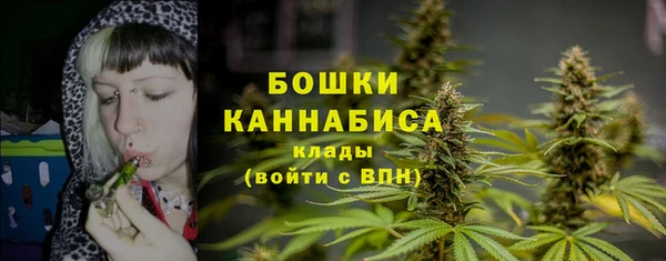 бошки Арсеньев