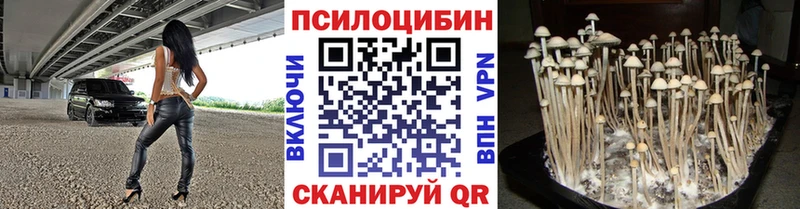 Псилоцибиновые грибы ЛСД Судак